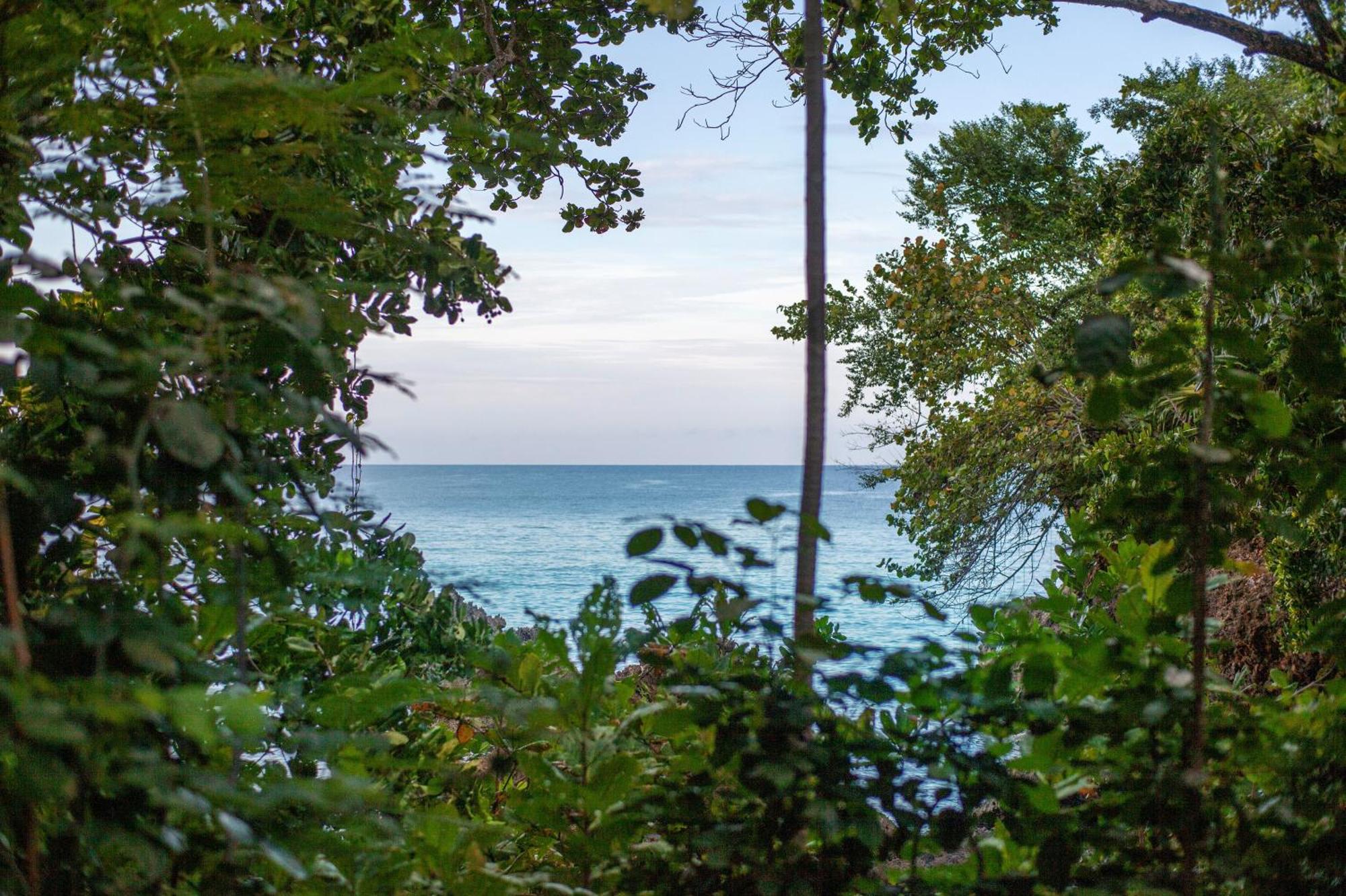 Frenchman'S Cove Resort Порт-Антонио Экстерьер фото